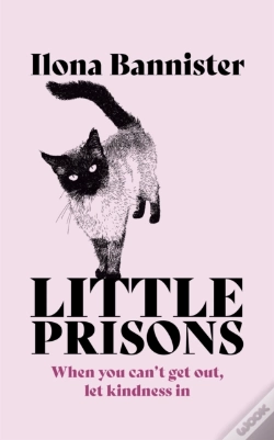 Capa do artigo Little Prisons