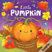 Capa do artigo Little Pumpkin