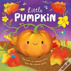 Capa do artigo Little Pumpkin