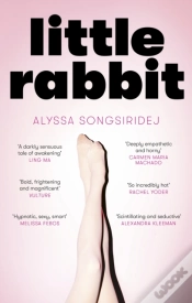 Capa do artigo Little Rabbit