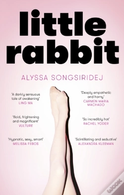 Capa do artigo Little Rabbit