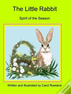 Capa do artigo Little Rabbit