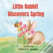 Little Rabbit Discovers Spring