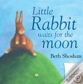 Little Rabbit Waits For The Moon