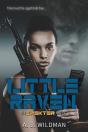 Little Raven - Preview