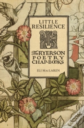 Capa do artigo Little Resilience
