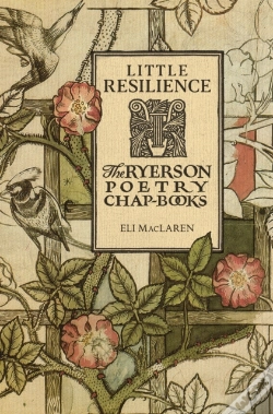 Capa do artigo Little Resilience