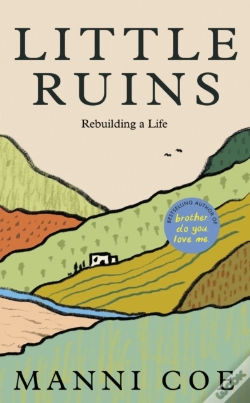 Capa do artigo Little Ruins