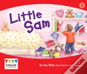Capa do artigo Little Sam