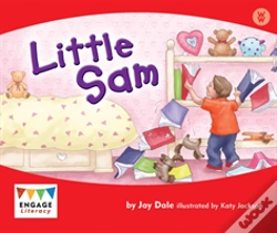 Capa do artigo Little Sam