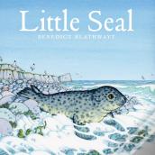 Little Seal