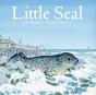 Little Seal - Preview