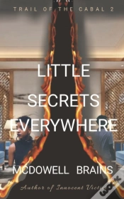 Capa do artigo Little Secrets Everywhere