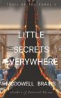 Little Secrets Everywhere - Preview