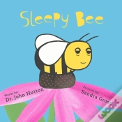 Capa do artigo Little Sleepy Solar System