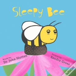 Capa do artigo Little Sleepy Solar System