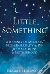 Capa do artigo Little Something