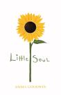 Little Soul - Preview