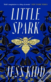 Capa do artigo Little Spark