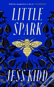Capa do artigo Little Spark