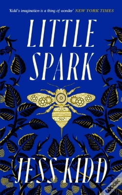 Capa do artigo Little Spark