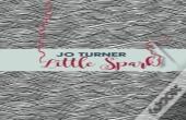 Little Spark