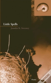 Capa do artigo Little Spells