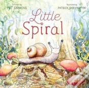 Capa do artigo Little Spiral