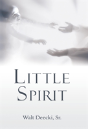 Little Spirit - Preview