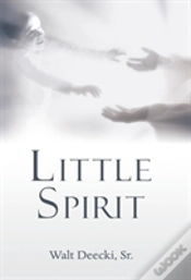 Capa do artigo Little Spirit