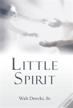 Capa do artigo Little Spirit