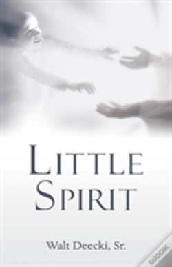 Capa do artigo Little Spirit