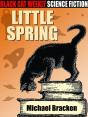 Little Spring - Preview
