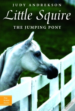 Capa do artigo Little Squire