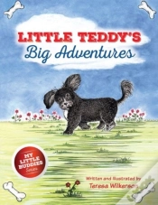Capa do artigo Little Teddy