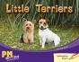 Little Terriers - Preview