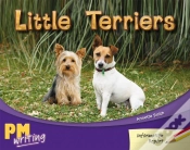 Capa do artigo Little Terriers
