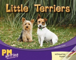 Capa do artigo Little Terriers