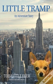 Capa do artigo Little Tramp