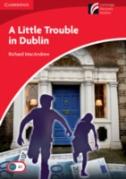 Little Trouble In Dublin