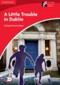 Little Trouble In Dublin - Preview