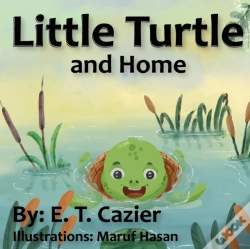 Capa do artigo Little Turtle And Home