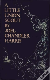 Capa do artigo Little Union Scout