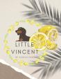Little Vincent - Preview