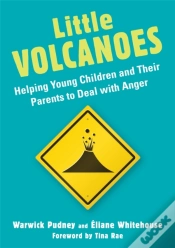 Capa do artigo Little Volcanoes