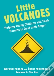 Capa do artigo Little Volcanoes