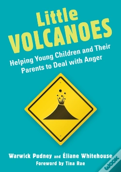 Capa do artigo Little Volcanoes