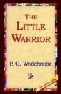 Little Warrior - Preview