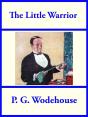 Little Warrior - Preview