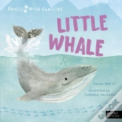 Capa do artigo Little Whale